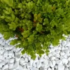 Classgarden - Galet blanc brillant 12-24 pack de 7 m² - 14 sacs - 280 kg Sale