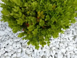 Classgarden - Galet blanc brillant 12-24 pack de 7 m² - 14 sacs - 280 kg Sale