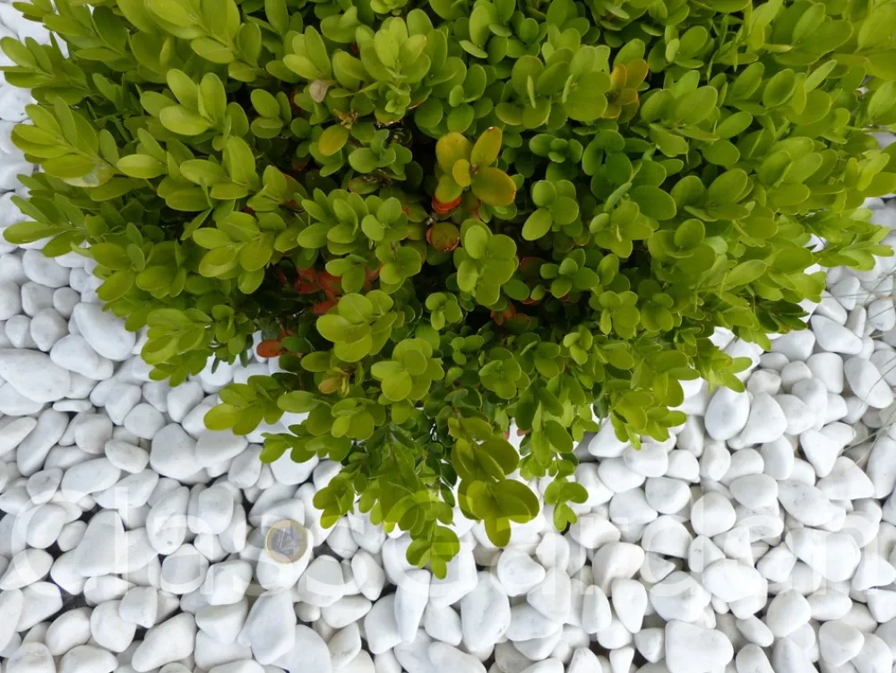 Classgarden - Galet blanc brillant 12-24 pack de 7 m² - 14 sacs - 280 kg Sale