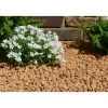Classgarden - Gravier jaune saumon 10-15 Sale