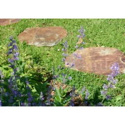 Classgarden - Pas japonais corten irrégulier - pack de 10 pièces New