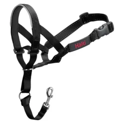 Company Of Animals Education | - Collier d'entraînement pour chiens halti noir muselière (40-54 cm)