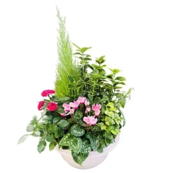 NA Fleurs De Saison | Compo 7 plantes, coupe plastique