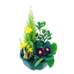 NA Composition 4 plantes en coupe plastique Clearance