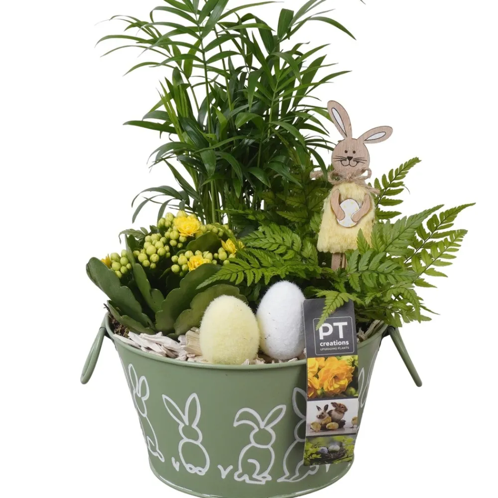 NA Composition plantes vertes fleuries, déco Pâques : pot D.18cm New