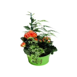 NA Composition pot zinc - Coloris variables Discount