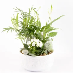 Creation Truffaut - Composition fleurie - 3 plantes - D 21cm Best