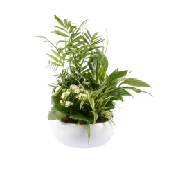 Creation Truffaut Terrariums Et Compositions | - Composition de 4 plantes : pot de D.23 cm - H. 55 cm