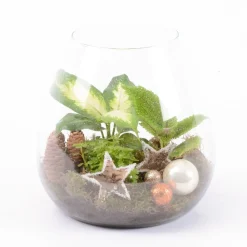 Creation Truffaut - Terrarium Bambino - 3 plantes - D 18cm Clearance