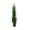 NA Cupressocyparis leylandii '2001' pot 30L Hot