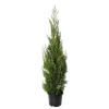 NA Cupressocyparis leylandii '2001' pot 15L Hot
