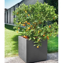 Deroma - Bac cubo Millennium, à réserve d'eau, coloris anthracite - L.49cm Online