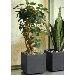Deroma - Bac cubo Millennium, à réserve d'eau, coloris anthracite - L.25cm Sale