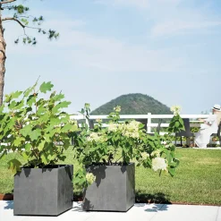 Deroma Pots Et Jardinières | - Bac cubo Millennium, à réserve d'eau, coloris anthracite - L.39cm