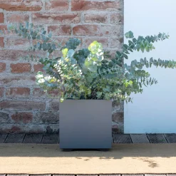 Deroma Pots Et Jardinières | - Bac cubo Millennium, à réserve d'eau, coloris ashgrey - L.25cm