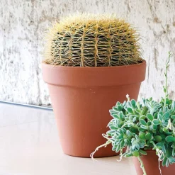 Deroma - Pot Horticole en terre cuite Ø 31,5 x H. 27,6cm Best