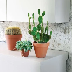 Deroma - Pot Horticole en terre cuite Ø 31,5 x H. 27,6cm Best