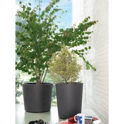 Deroma Pots Et Jardinières | - Pot Vaso Millennium, à réserve d'eau, coloris anthracite - D.59cm