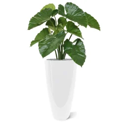 Design Plants - Alocasia calidora en bouquet artificiel de 70 cm Best