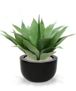Design Plants Bouquets De Fleurs | - Bouquet d’ agave artificiel 50 cm uv