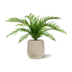 Design Plants - Fougère alsophilla bouquet artificiel de 60 cm uv Hot