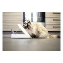 Aucune Gamelles Et Autres Accessoires | Distributeur daliment connect - blanc - pour chat