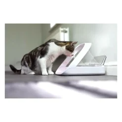 Aucune Gamelles Et Autres Accessoires | Distributeur daliment connect - blanc - pour chat