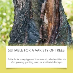Downypaws - Agent cicatrisant pour les arbres 100 g + pinceau Outlet