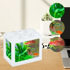 Downypaws - Aquarium betta miniature en acrylique transparent New