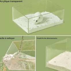 Downypaws Hygiène Et Soins | - Bain salle - transparente, grande entrée, sable pour toilette