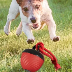 Downypaws Jouets | - Balle interactive pour chien