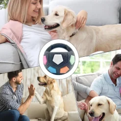 Downypaws - Balle jouet pour chien football-jouets à mâcher Discount