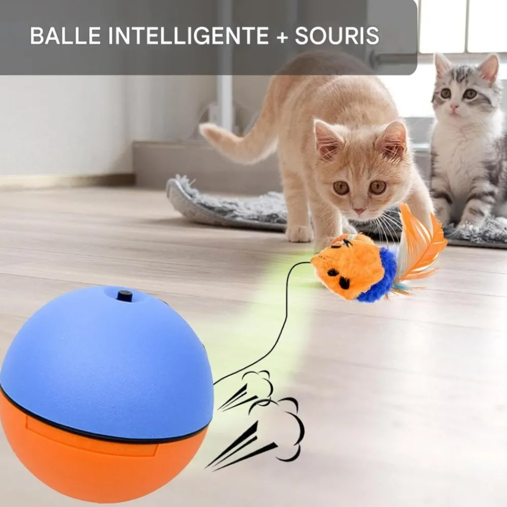 Downypaws - Balle pour chats jouets interactifs, électrique avec cordon Outlet