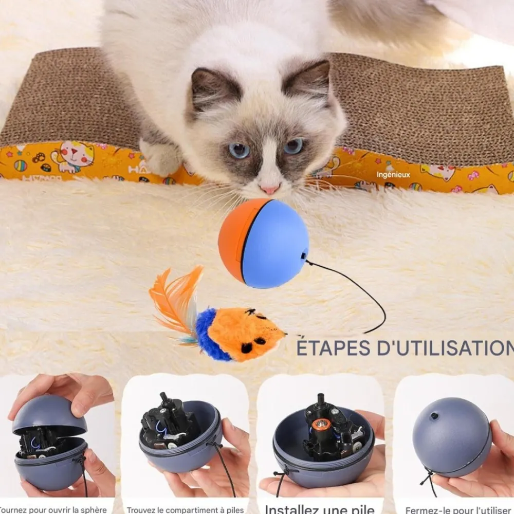 Downypaws - Balle pour chats jouets interactifs, électrique avec cordon Outlet