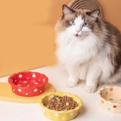 Downypaws - Bol céramique pour chat - anti-bascule & hygiénique Online