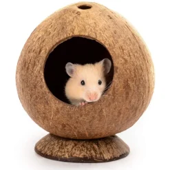 Downypaws - Boîte d'oiseau en coque de noix de coco pour la reproduction et la décoration type sur pied Online