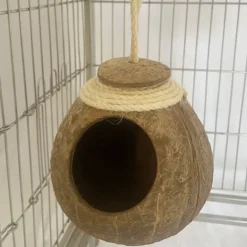 Downypaws - Boîte d'oiseau en coque de noix de coco pour la reproduction et la décoration chaîne de chapeau de paille Best