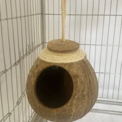 Downypaws - Boîte d'oiseau en coque de noix de coco pour la reproduction et la décoration chaîne de chapeau de paille Best