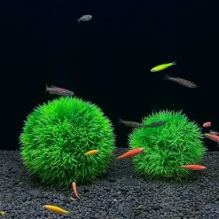 Downypaws - 2 boules d'herbe artificielles en plastique pour aquarium, ornements d'aménagement paysager Sale