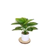 Downypaws Fleurs Et Plantes Artificielles | - Bouquet de plantes artificielles + pot de fleurs en feuille de pastèque