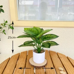 Downypaws Fleurs Et Plantes Artificielles | - Bouquet de plantes artificielles + pot de fleurs en feuille de pastèque