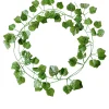 Downypaws Fleurs Et Plantes Artificielles | - Branches de plantes artificielles, fleurs artificielles, vignes, feuilles de vigne 12 pièces