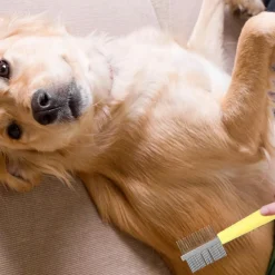 Downypaws Jouets | - Brosse de toilettage pour chien et chat ensemble trois pièces- jaune