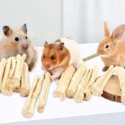 Downypaws Alimentation | - Bâtonnets à mâcher - friandises dentaires pour petits animaux
