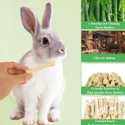 Downypaws Alimentation | - Bâtonnets à mâcher - friandises dentaires pour petits animaux