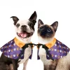 Downypaws Colliers, Laisses Et Vêtements | - Cape démoniaque pour chat et chien - doux et réglable - pour des fêtes amusantes