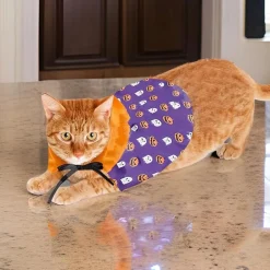Downypaws Colliers, Laisses Et Vêtements | - Cape démoniaque pour chat et chien - doux et réglable - pour des fêtes amusantes