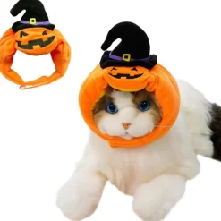 Downypaws - Chapeau de chat halloween-chapeau citrouille-m (longueur 37cm ​​largeur 9cm hauteur 9cm) Best