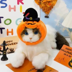 Downypaws - Chapeau de chat halloween-chapeau citrouille-m (longueur 37cm ​​largeur 9cm hauteur 9cm) Best