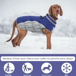 Downypaws Colliers, Laisses Et Vêtements | - Chaud manteau protections pour chien,manteau épais en coton coupe-vent pour chien